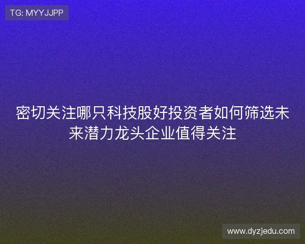 密切关注哪只科技股好投资者如何筛选未来潜力龙头企业值得关注